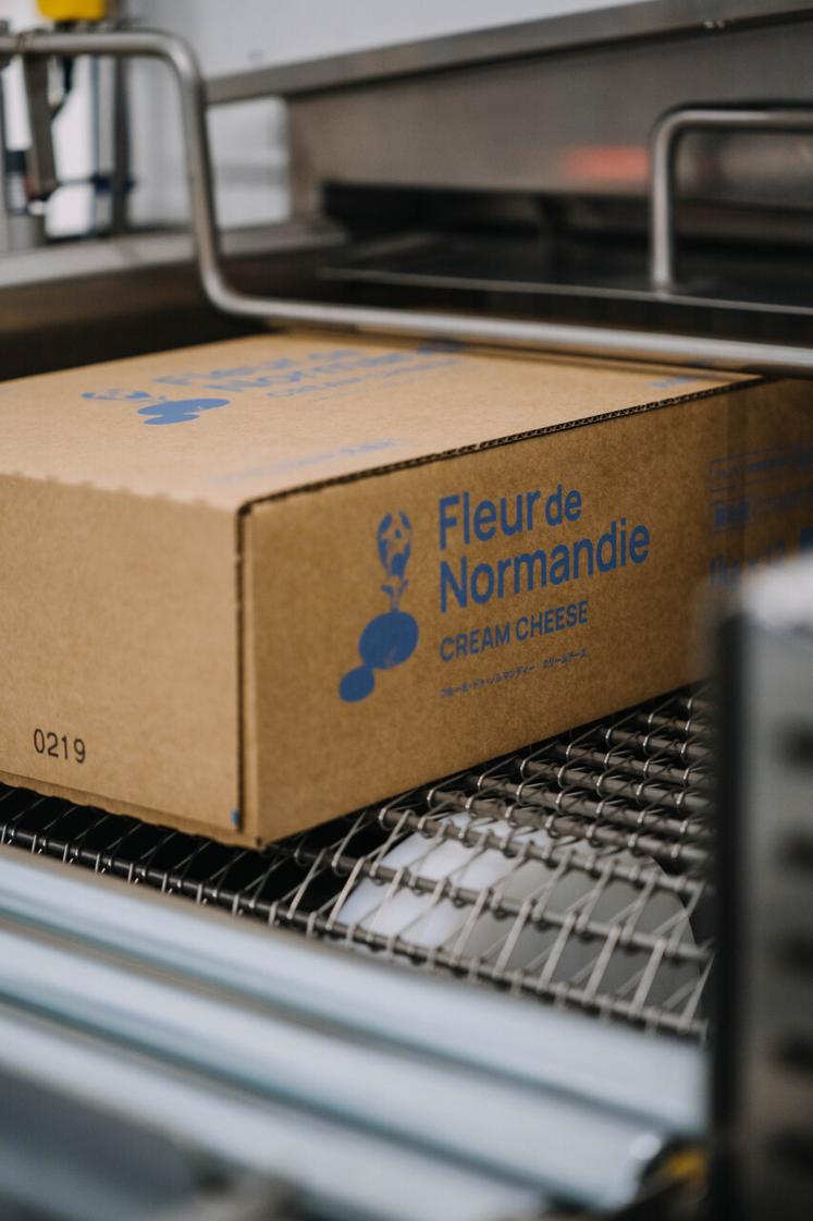 le cream cheese Fleur de Normandie