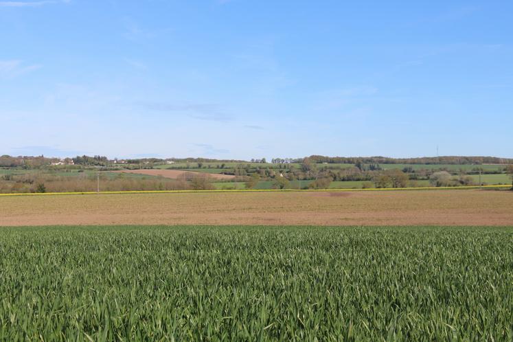 L'exploitation s'étend sur 190 hectares, dont 172 ha en cultures (blé, colza, orge, maïs épi et en ensilage, triticale et herbes).