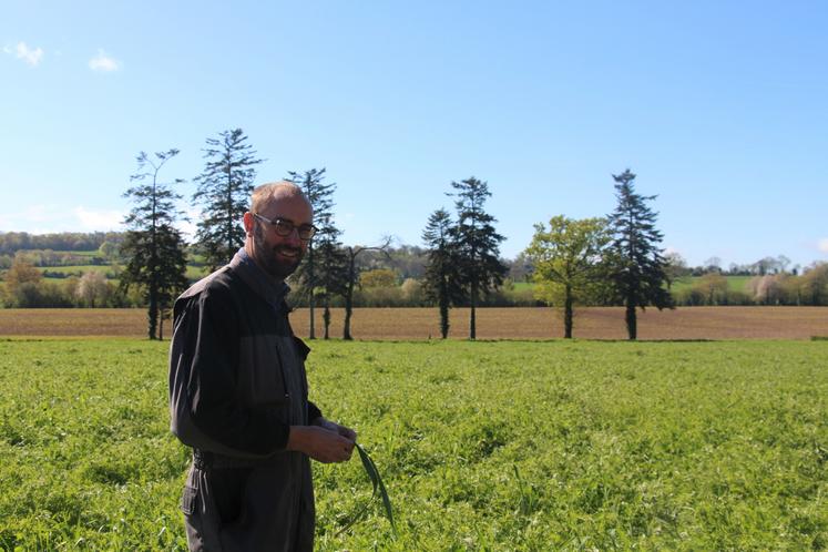 Loïc Cousin a été élu président de la section bovine, mercredi 8 avril 2026, par le conseil d'administration de cette dernière. 