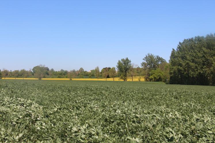 "J'avais la volonté de m'engager pour défendre la profession agricole", explique Grégory Bariller, nouveau président de la commission environnement.