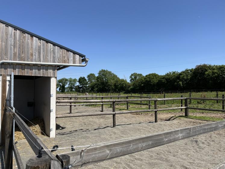 Aux Écuries du Merisier, les chevaux peuvent être en pension "boxes paradise" ce qui leur confère un accès permanent à un paddock.