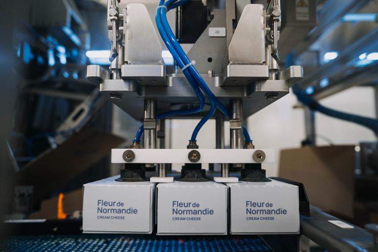 Le cream cheese est commercialisée sous le nom "Fleur de Normandie".