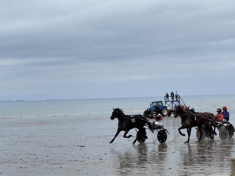 Les chevaux sur piste ou sous le capot des tracteurs sont bien présents.