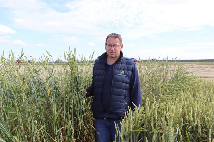 Vincent Marque est le responsable agronomique de la coopérative. 