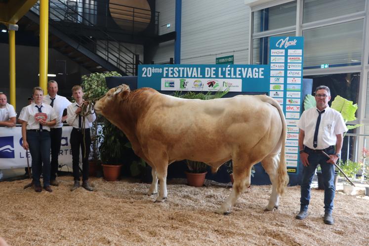 Et bravo également au Gaec de l'Hôpital qui se voit remettre le titre de champion mâle adulte avec Spartacus (fils d'Occitan x Ingénue). "C'est celui qui avait le meilleur bassin", commente Bertrand Millon.
