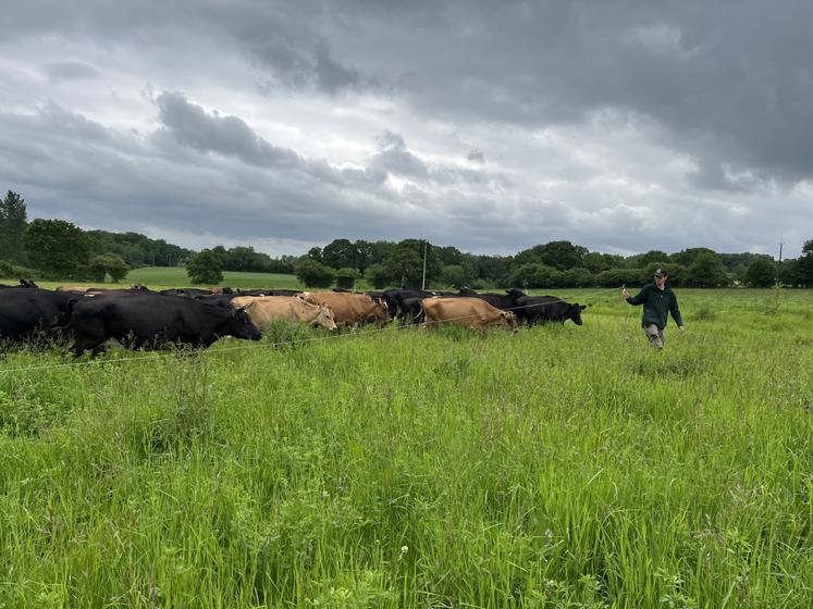 Chaque jour les vaches laitières pâturent une nouvelle parcelle. Martin et Louise gèrent le pâturage tournant dynamique avec l'application Grassland Tools.