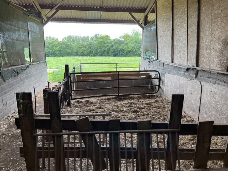 Ferme de l'Armagerie nurserie