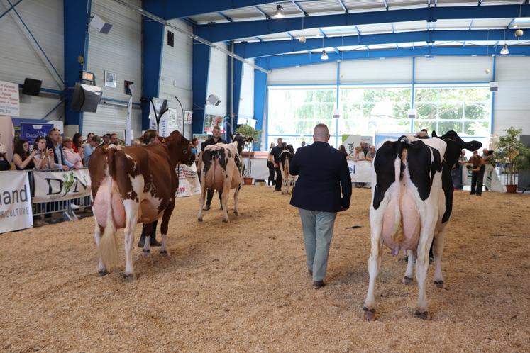 Au total, quatorze élevages étaient présents avec 54 femelles (28 génisses et 26 vaches).