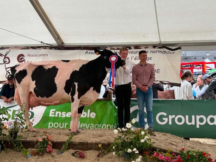 Avec la vache du Gaec du Gard, Alban Gosselin a passé l'épreuve du concours de présentateurs en décrochant la première place. 