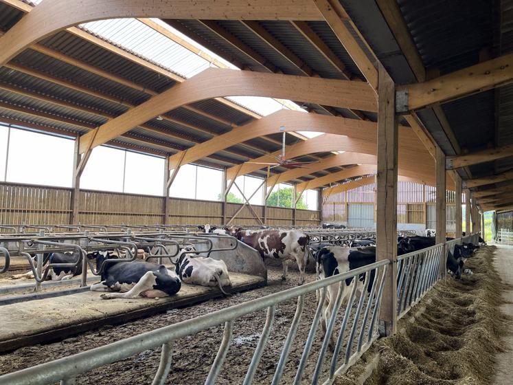 Le Gaec de la Sorriere c'est 2,3 millions de litres de lait avec ses quatre robots et 200 vaches Prim'Holstein. 