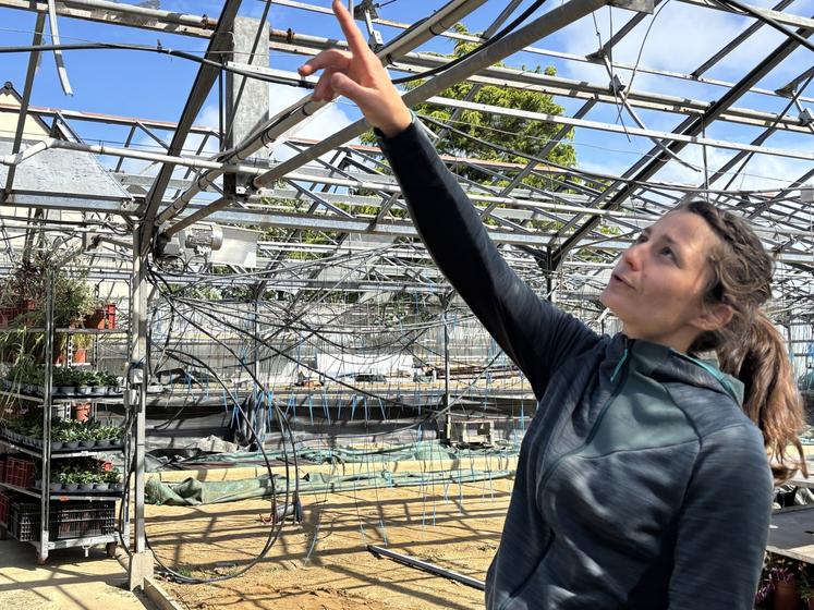 Le 27 mai au soir, aux alentours de 22 h, C'était une scène apocalyptique pour l'horticultrice, installée depuis 8 ans à Cérences.