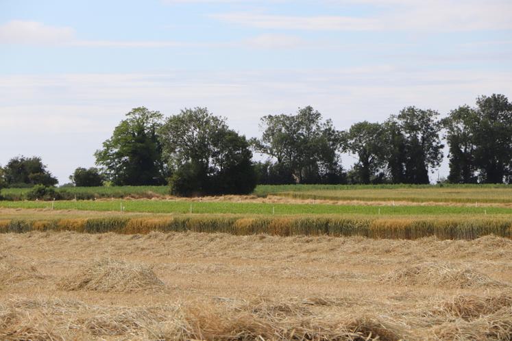 Des démonstrations de matériels agricoles sont prévues au programme.