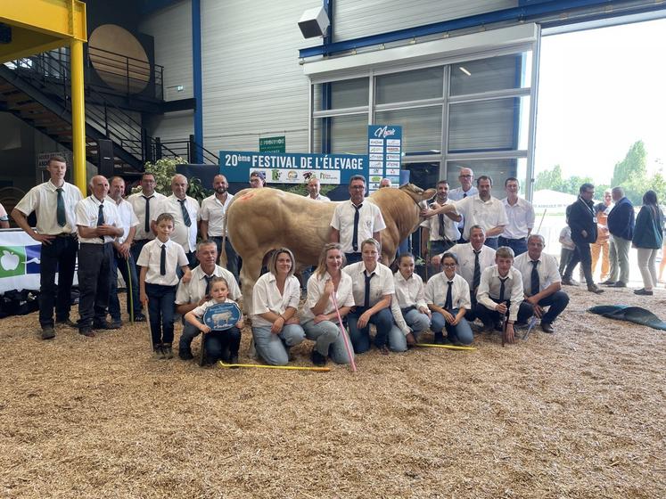 La race Blonde d'Aquitaine a été mise à l'honneur sur le ring de Vire, samedi 13 juin. Dès 9 h 30, des élevages du Calvados et de l'Orne se sont affrontés dans un départemental élargi, en toute convivialité.