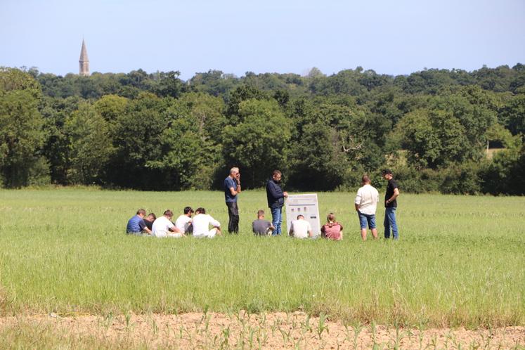 "Un agriculteur, s'il est tout seul, s'il n'y a pas l'amont, ni l'aval, il est vite bloqué. Avec ce dispositif expérimental, l'idée est de l'outiller", évoque Julie Zannetty. Le projet se veut concret et applicable sur les fermes normandes, pas seulement figé au stade d'expérimentation.