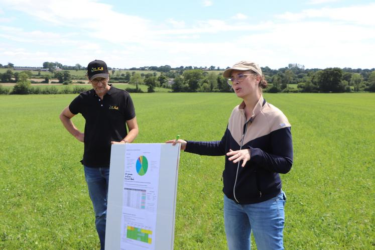 Le projet Roseco "évalue la robustesse de systèmes de cultures fourragers et céréaliers économes en intrants en Normandie". Ce programme d'expérimentation teste et documente les solutions permettant de réduire les intrants sur des parcelles en grandes bandes.