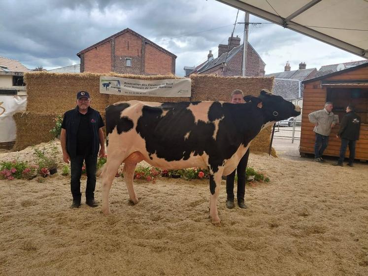 Lezeaux Tourterelle (Adorable xx Chief Stan) appartenant au Gaec Chapdelaine Lezeaux revient avec le titre de réserve championne jeune.