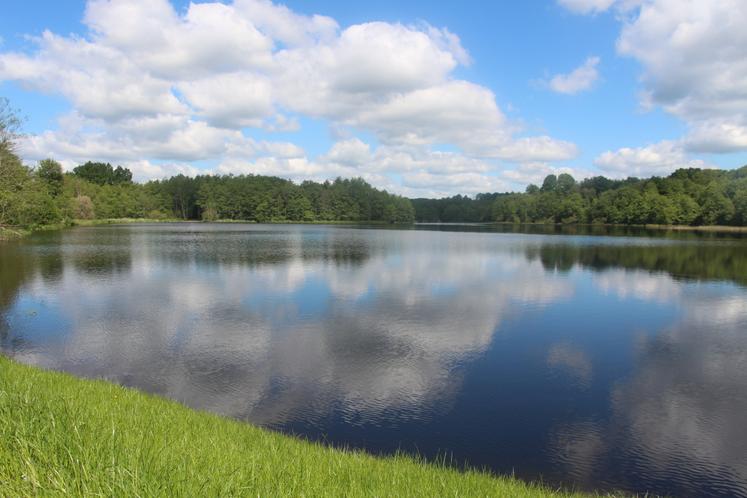 L'inauguration de l'étang de Rumien, à Longny-les-Villages, s'est déroulée mardi 12 mai 2026. L'étang, classé sur deux sites Natura 2000, a connu deux mois de travaux de curage (entre juin et août 2025) dans le but de préserver sa biodiversité et ces espèces protégées.