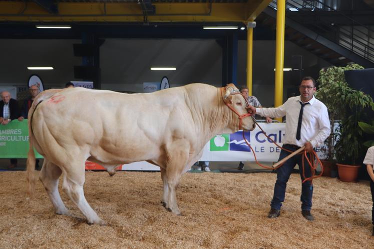 Bravo à l'EARL du Cinglais qui voit Tripoli (fils de Latsari x Oubliette) gagner le prix des qualités bouchères mâle. "Je le devine finir le mieux parmi ses concurrents. Il aura un bon rendement", atteste le juge.