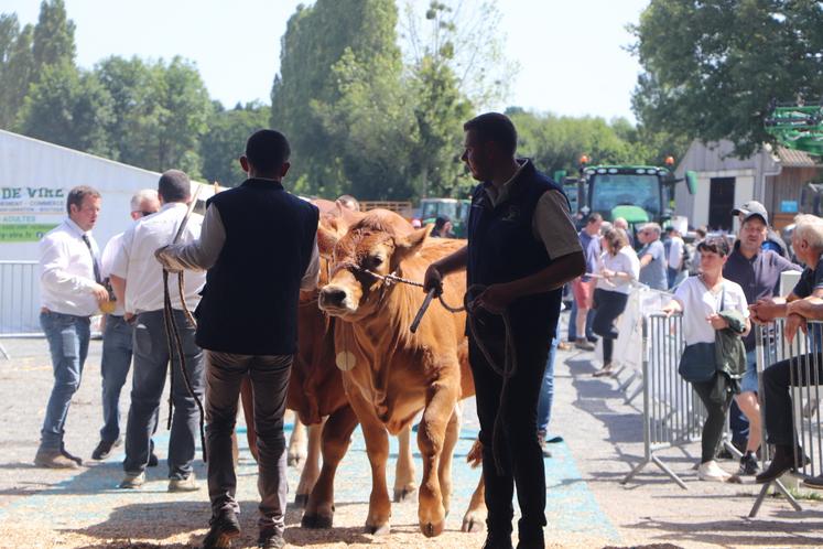 Le concours n'a pas fini en retard cette année 2026, contrairement à 2025. Une belle ambiance a été saluée par le juge.