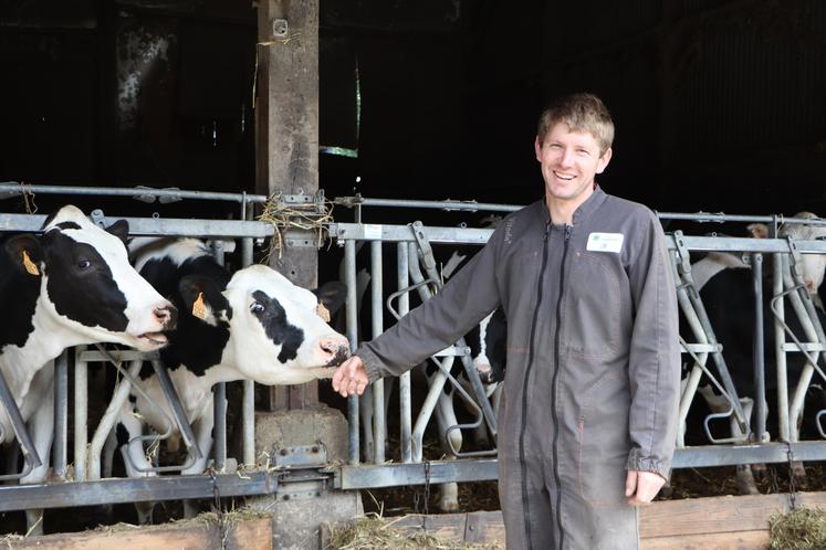 La ferme compte 80 vaches pour 630 000 litres de lait (collectés par Gillot) et une quarantaine de bœufs mâles élevés par an.