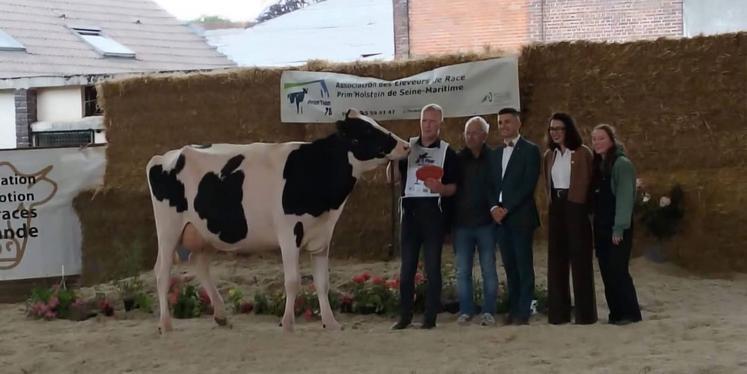 Pour sa première sortie, UtahBeach (Hummer Hat xx Scotch West) du Gaec Croc'quirie se classe première de sa section.