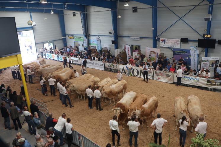 Au total, huit élevages et 58 animaux ont défilé à Vire. Plusieurs d'entre eux concourront également le premier week-end de juillet à Saint-Hilaire-du-Harcouët dans la Manche.