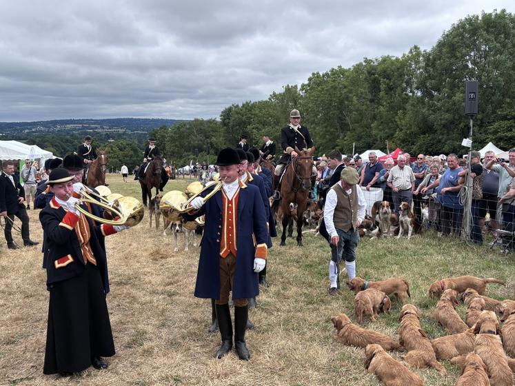 Trompe de chasse, chasse à cour, confirmation de chiens... le programme est dense pour le monde de la chasse lors des Journées de la biodiversité tout comme pour les visiteurs attendus nombreux les 27 et 28 juin.