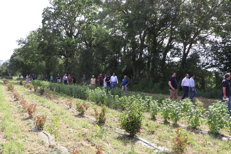 Face à "une offre rare et peu structurée", avec Parsème, Victoria Briend ambitionne de faire naître "un véritable savoir-faire local", autour des végétaux et feuillages, et apporter "un regard nouveau, avec le soutien agricole et du tissu économique".