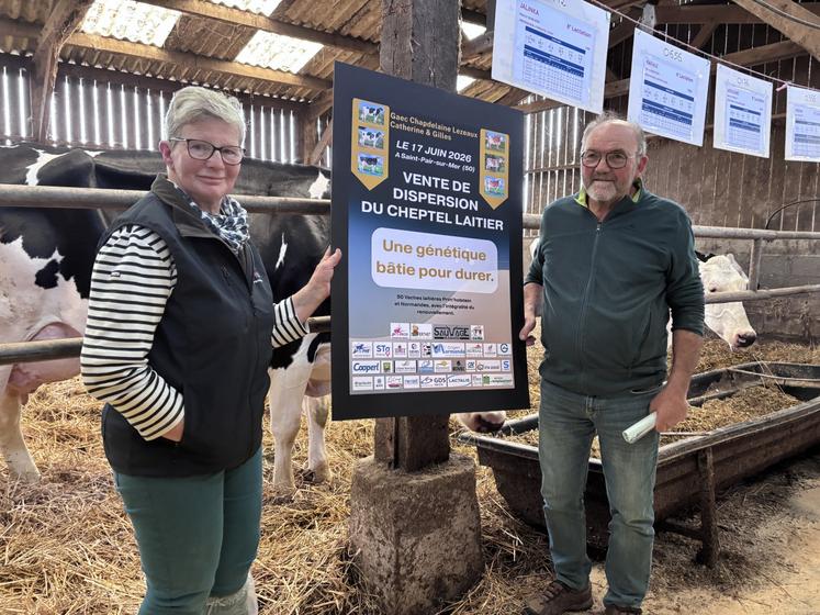 À quelques mois de leur retraite, Catherine et Gilles Chapdelaine peaufinent la vente aux enchères de leur troupeau et descendance ce 17 juin. Une journée à ne pas manquer pour repartir avec de la bonne génétique aussi bien Normande que Prim'holstein.