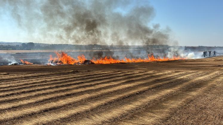 Depuis quelques jours, trois à quatre feux d'espaces cultivés surviennent dans le Calvados au quotidien. "C'est affreux. Ce n'est pas un été normal. On a fini la moisson au 10 juillet, c'est du jamais vu", concède Cyrille Hoste. 