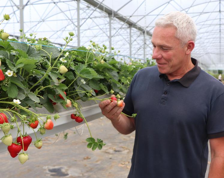 L'exploitation d'Olivier Chauvin - installé depuis 26 ans - totalise 170 ha, dont 20 ha pour les fruits et légumes, le reste en grandes cultures.