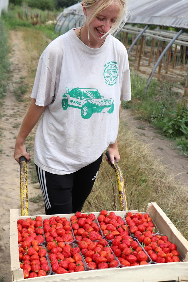 Les huit salariés permanents sont rejoints par six salariés pour le pic d'activité sur les fruits rouges et la récolte des pommes.
