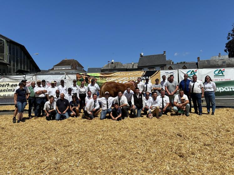 Les éleveurs Limousins se préparent à accueillir le concours interrégional l'année prochaine à Torigni-les-Villes.