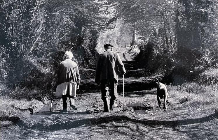 Le couple du Bocage. Gestes et regards, éditions Charles Corlet (2006).