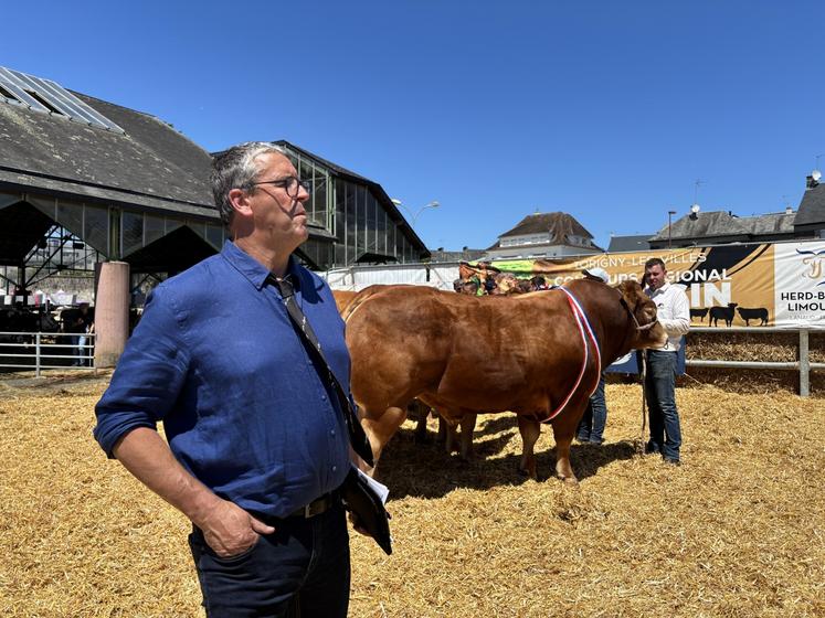 Au concours interdépartemental Limousin, le juge, Gérard Ménard, s'est réjoui du niveau d'animaux présenté par les éleveurs.