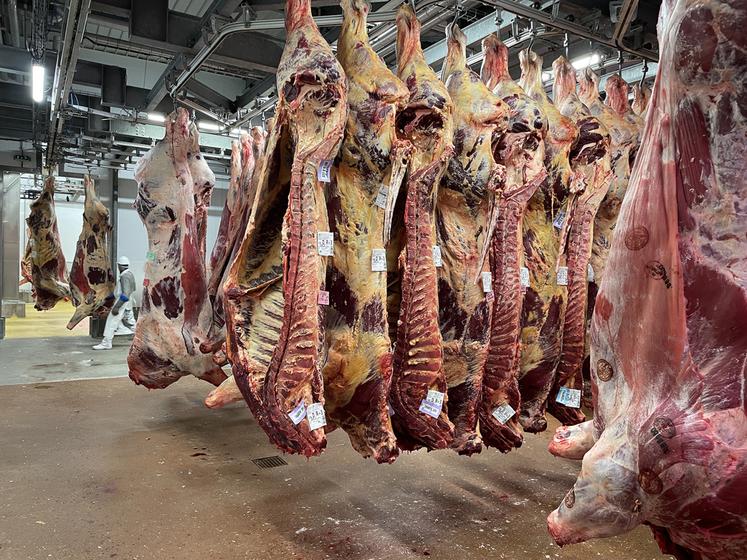 Le cas a été détecté en abattoir, issu d'un septième foyer confirmé par les autorités sanitaires mi-août, sur la commune de Brémoy, près de Jurques. 
