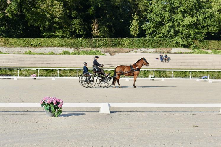 Le haras du Pin avait accueilli son premier championnat du monde en 1979