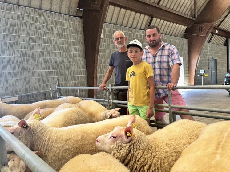Au concours d'arrondissement d'Avranches le 8 juillet, Nicolas Avenel remporte le championnat mâle et femelle ainsi que le prix d'ensemble. Il est suivi de près par Olivier Lejamtel de Le Mesnil-Ozenne. Les deux hommes ont la même passion. D'ailleurs, le bélier présenté l'année dernière au Salon de l'agriculture à Paris par Nicolas Avenel est devenu champion. Il provenait de l'élevage de son collègue.