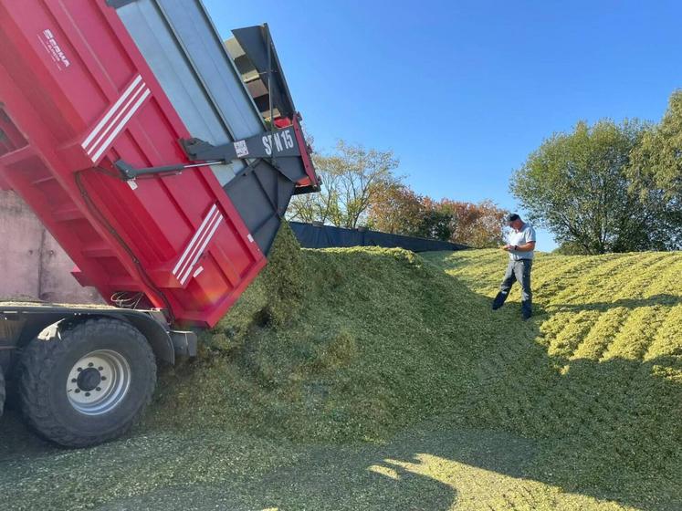 Guillaume Larchevêque constate le manque de grains de maïs dans sa récolte.