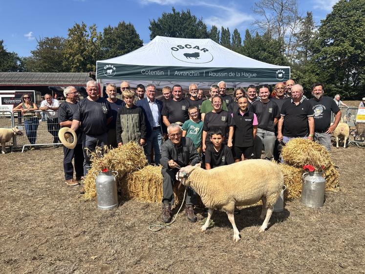 Treize éleveurs de la Manche et du Calvados ont participé au concours du Cotentin, marquant les 101 ans de la race fêtés dans le cadre du comice agricole Brécey/Saint-Pois.