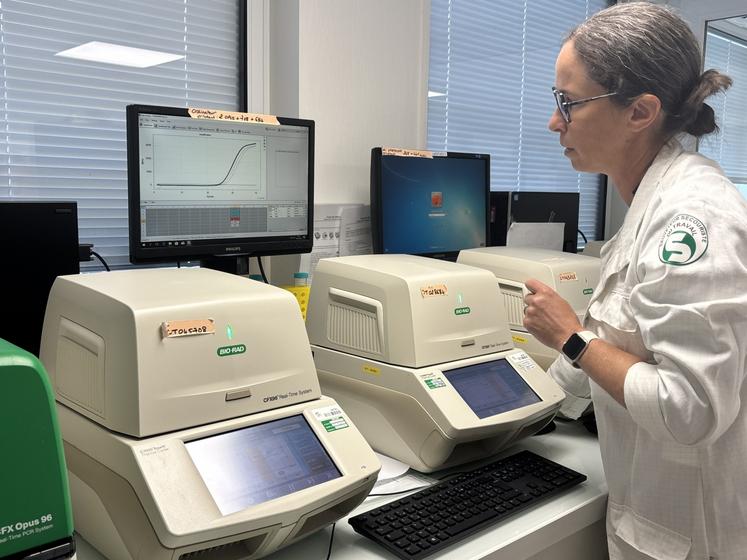 "Les courbes indiquent si le test est positif", explique Delphine Perrotte
