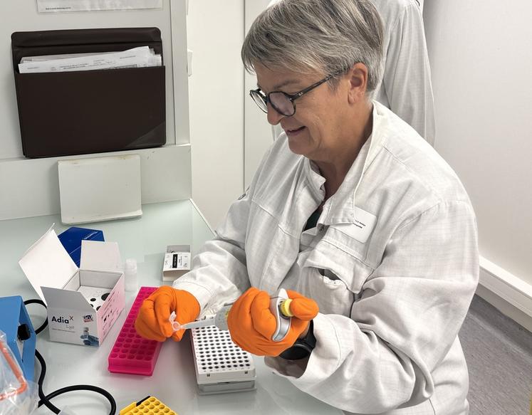 Au sein de Labéo, les tests PCR sont réalisés pour déceler le nouveau virus Shamonda-Europe.