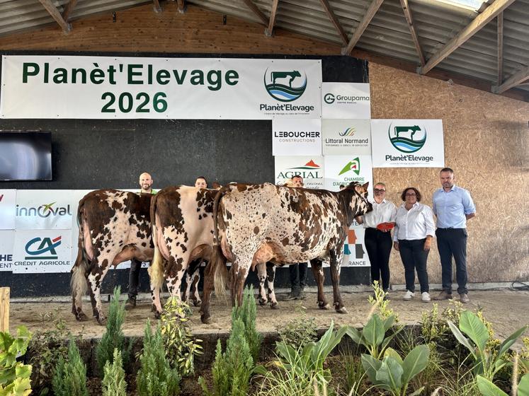 Le Gaec de la Cavée Mancel de Saint-Martin-d'Audouville s'est démarqué dans différentes catégories dont le prix de meilleure mamelle adulte et le prix d'élevage.