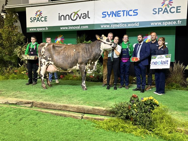 Au-delà d'être réserve championne adulte, Pinacola (Montoya x Horleans) issue de l'élevage Lelimousin (La Cambe), cette vache en 5e lactation devient meilleure mamelle adulte de ce concours national Normand.