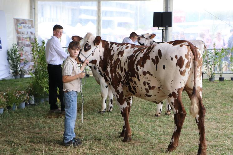 La passion et les concours jeunes présentateurs étaient de mise. Ici, Maël, non issus du milieu agricole, est déjà mordu même s'il a admis au micro que "maman n'est pas fan des vaches".
