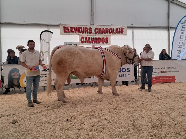 L'EARL Delcourt repart avec quatre grands titres emblématiques, dont le prix de championnat, avec le taureau Ulster (fils de Play Boy x Orphée) de 1 360 kg.