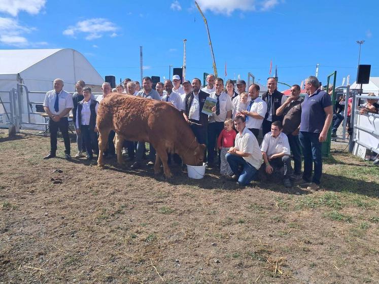 Dix éleveurs de Limousines ont concouru à Lessay le 12 septembre. Et c'est Vedette de chez Romain Lalouelle qui s'impose. Un nom qui lui va bien.