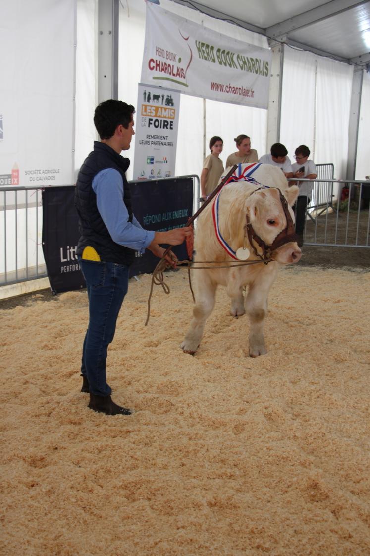 Concours bovins : 25 élevages et 108 animaux sont inscrits pour participer samedi 26 septembre 2026.