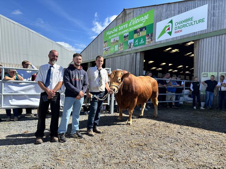À 6 000,00 €, Tapeur, taureau Limousin de près de 4 ans, issu de l'élevage de Benjamin Legigan et Maxime Chardine, rejoint l'élevage de Sylvère Haupais de Nicorps.