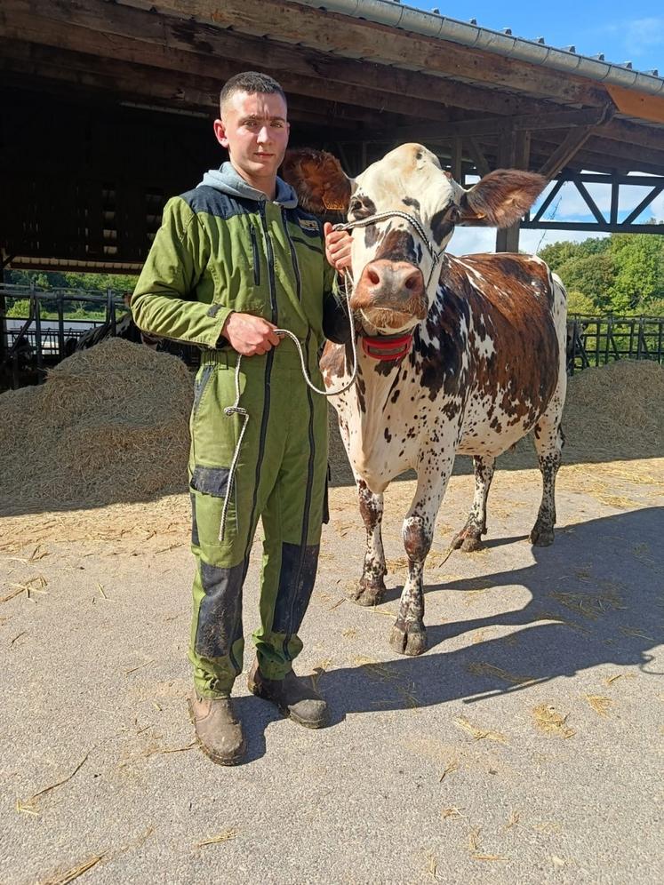Utah Beach vache Normande Gaec Leroux égérie Vachement Caen David Delange